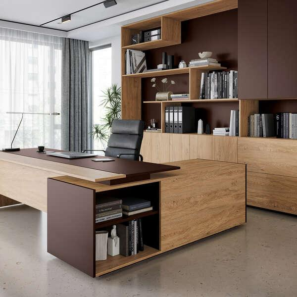 Oficina moderna con escritorio de madera y estantería